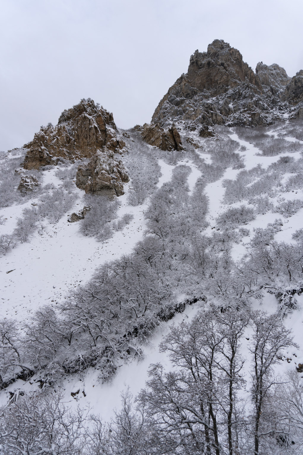 Canyon rocks sticking up out of the snow covered mountainside